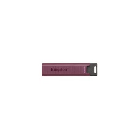Kingston DataTraveler Max 1TB USB 3.2 Gen 2 USB stick Lilla